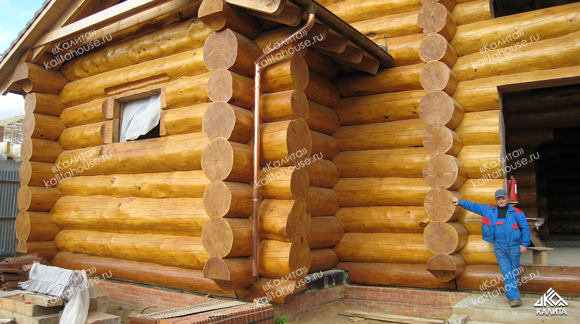p-detail